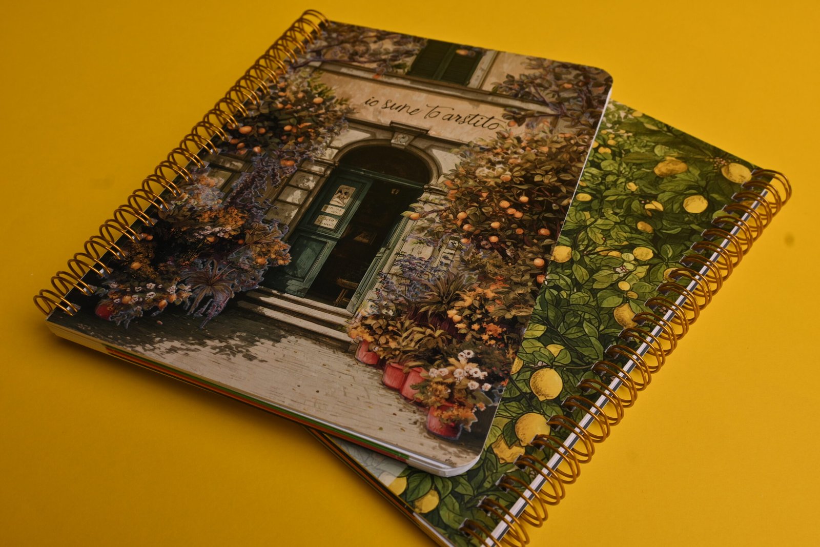 DSC_4397 ليمون جاردن - Lemon Garden - الصورة 1