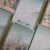 ⁦مَـشْـرَق - MASHRAQ⁩ - الصورة ⁦5⁩