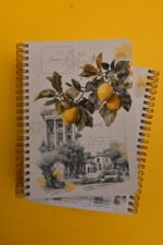 ⁦نَـسـيم - NASEEM⁩ - الصورة ⁦2⁩