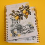 ⁦نَـسـيم - NASEEM⁩ - الصورة ⁦3⁩