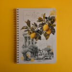 ⁦نَـسـيم - NASEEM⁩ - الصورة ⁦2⁩