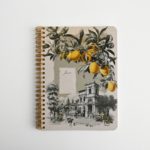 جَـنَـائن - JANA’IN